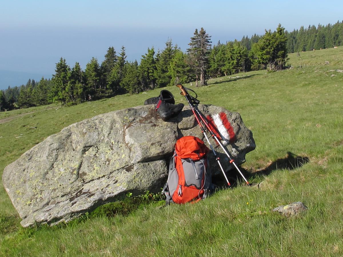 Roseggerhof Ξενοδοχείο Sankt Kathrein am Hauenstein Εξωτερικό φωτογραφία